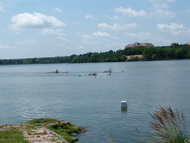 DSCF7206 (Medium)